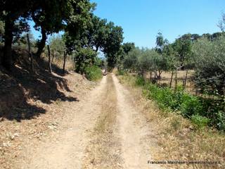 da di Volpe30-07-2015 22-57-59